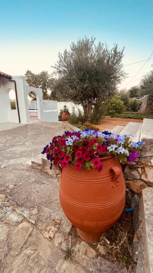 Grand House Lägenhet Agios Nikolaos Exteriör bild